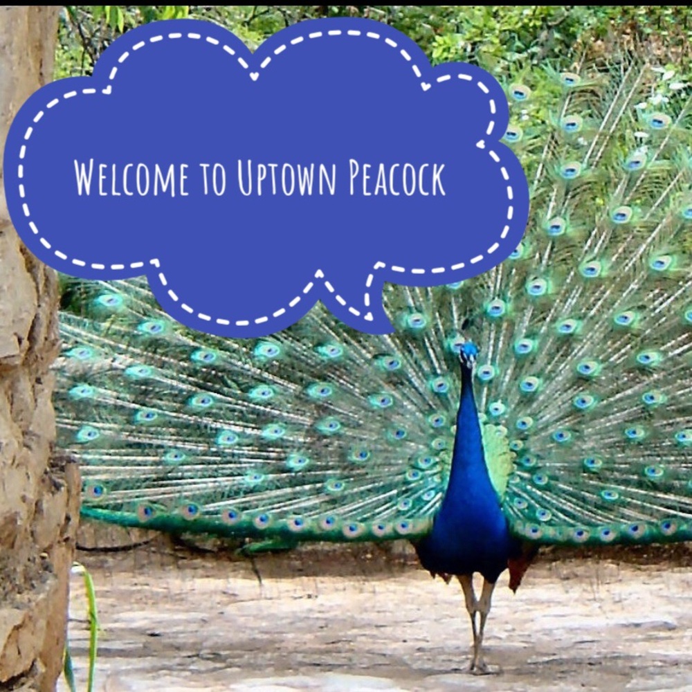 Welcome-please come into my closet.